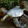Turtle Stainless steel metal sculpture Steampunk abstract model